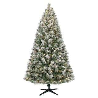 ft. Pre Lit Douglas Flocked Artificial Christmas Tree  Clear