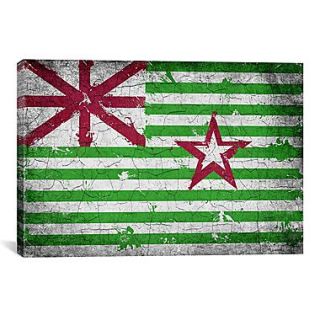 iCanvas Austin, Texas Flag   Grunge Painted Cracks Graphic Art on Canvas; 40 H x 60 W x 1.5 D