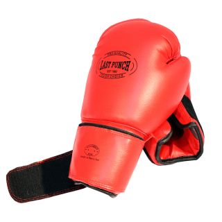 Pro Red 16 ounce Adult Boxing Gloves and Full size Punching Bag