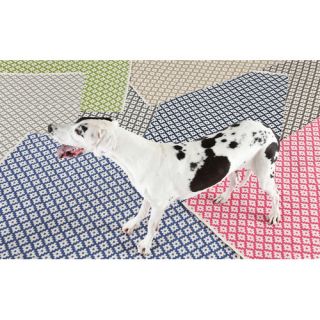 Dash and Albert Rugs Samode Sprout Green Indoor/Outdoor Area Rug