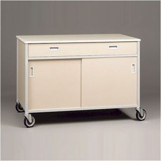 Storage Cabinet with Shelf