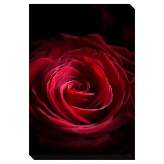Gallery Direct Heart of the Rose Oversized Gallery Wrapped Canvas