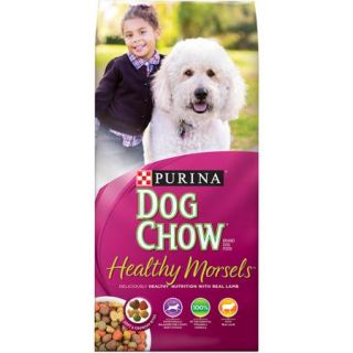 Purina Dog Chow Tender and Crunchy Dog Food 32 lb. Bag