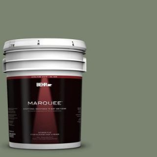 BEHR MARQUEE 5 gal. #PPU11 18 Cactus Garden Flat Exterior Paint 445305