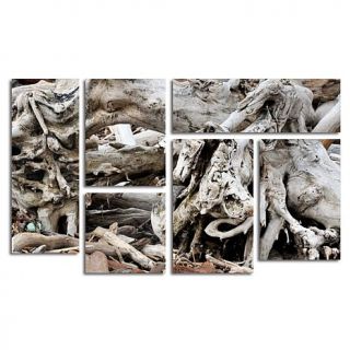 Kurt Shaffer "Drift Wood" Multi Panel Art Collection   Set of 6   7674347