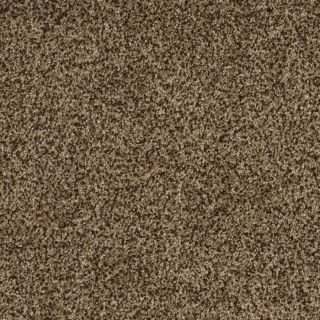 STAINMASTER TruSoft Private Oasis II Supreme Textured Indoor Carpet