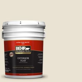 BEHR Premium Plus 5 gal. #ECC 24 2 Eastern Wind Flat Exterior Paint 405005