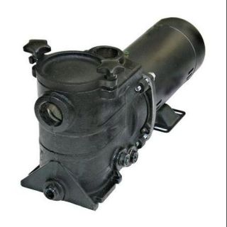 DAYTON 5PXC5 Pool Pump, 1.5HP, 3450, 115/230V