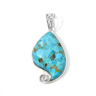 Jay King Cinnamon Bay Turquoise Sterling Silver Pendant   7605697
