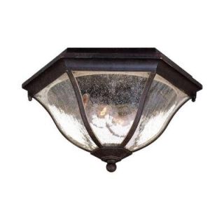 Acclaim Lighting Flushmount Collection Ceiling Mount 2 Light Outdoor Black Coral Light Fixture 5615BC