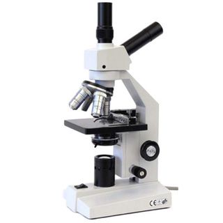 AmScope 40x 640x Biological 2 view Compound Microscope with Mechanical