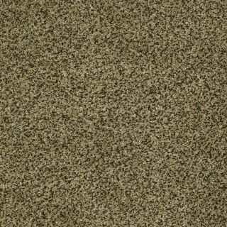 STAINMASTER TruSoft Private Oasis IV Verde Textured Indoor Carpet