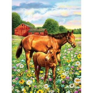 Junior Small Paint By Number Kit 8.75"X11.75" Horse In Field