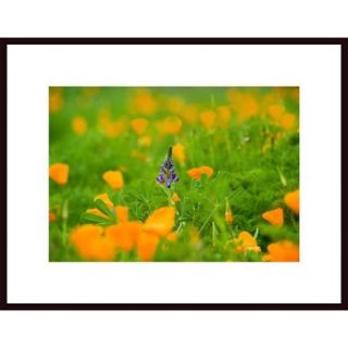Be Different by John Nakata Framed Photographic Print