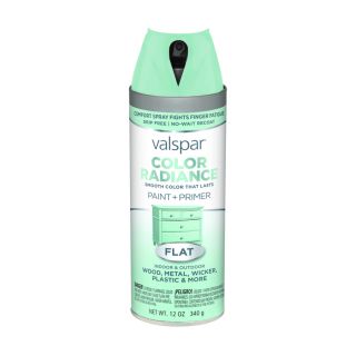 Valspar Color Radiance Destiny Fade Resistant Enamel Spray Paint (Actual Net Contents 12 oz)