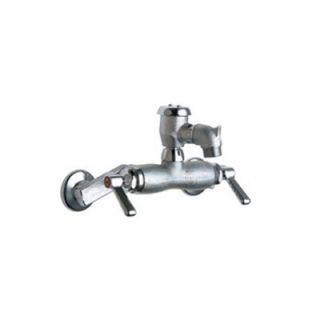 Wall Mounted Service Sink Faucet with Vacuum Breaker and Double Lever