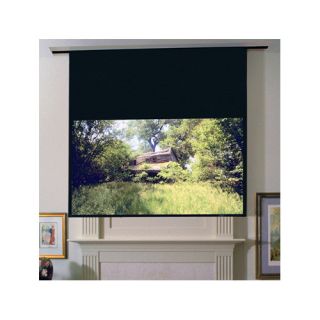 Access Series E Contrast Grey Electric Projection Screen