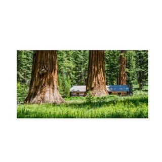 Pierre Leclerc 'Giant Sequoia Cabin' Canvas Art 24 x 47 Wrapped Canvas Art
