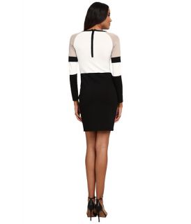 Calvin Klein Color Block Sweater Dress Cream Black