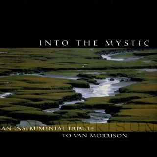 Into the Mystic An Instrumental Tribute to Van Morrison