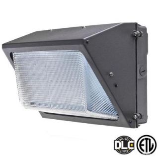 Axis LED Lighting 40 Watt Bronze 5000K LED Outdoor Wall Pack with Glass Refractor Natural White AEP40WPDS
