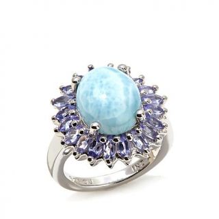 Colleen Lopez "Serene" Larimar and Tanzanite Sterling Silver Frame Ring   8006812
