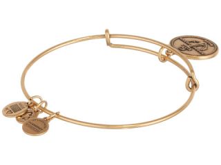 Alex and Ani Rhode Island Charm Bangle