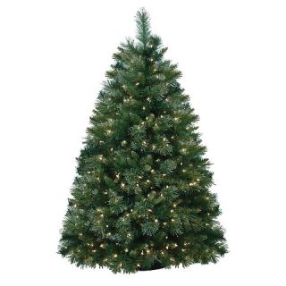 5ft Pre Lit Gold Tip Cashmere Pine Christmas Tree  Clear Lights