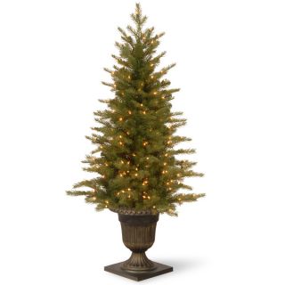 foot Nordic Spruce Entrance Tree with Clear Lights   16610247