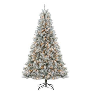 DONNER & BLITZEN 7.5 Alberta Flocked Spruce Pre lit Christmas Tree