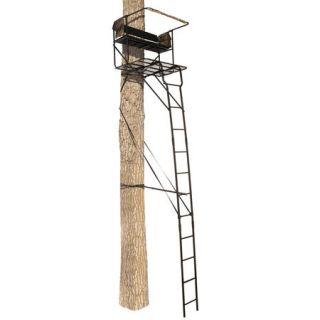 Big Game Treestands Spector 2 Person Ladder Stand