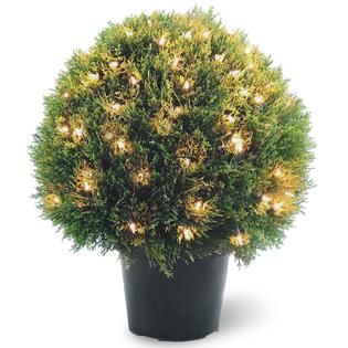 National Tree Company 24 Lighted Cedar Pine Topiary   Outdoor Living