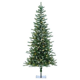 Ft. Pre Lit Bridgeport Pine Christmas Tree  Clear Lights