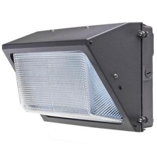 Axis LED Lighting 40 Watt Bronze 5000K LED Outdoor Wall Pack with Glass Refractor Natural White AEP40WPDS