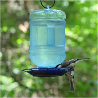 Perky Pet Water Cooler Hummingbird Feeder